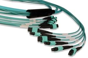 Siemon_PlugPlay-fibre-cable-300x199